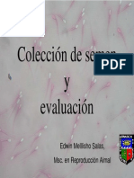 E. Mellisho - Coleccion de Semen y Evaluacion PDF