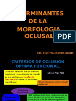 1.determinantes de La Morfología Oclusal