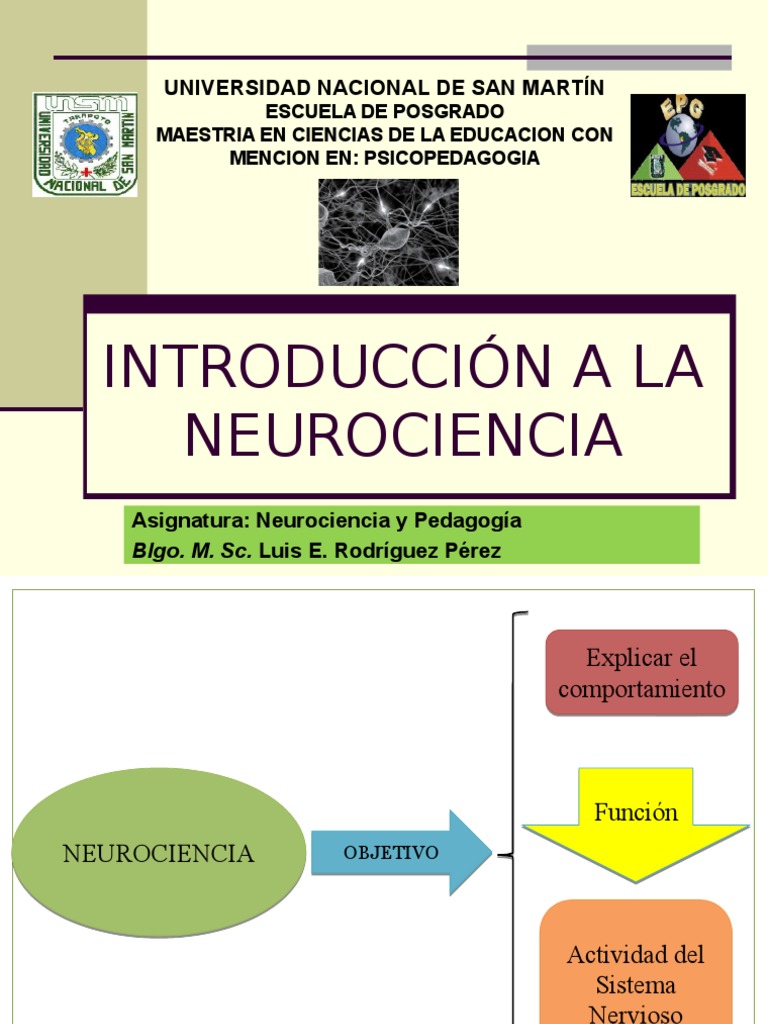 Introducción a la Neurociencia.pptx Sinapsis Neurona