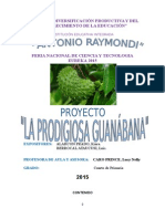 Proyecto de La Guanabana