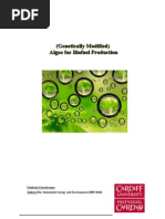 Download Algae Biofuels by federicodevienna SN27760975 doc pdf