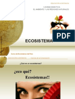 El Ecosistema 2