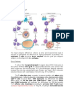 Pathophysiology of Graft Versus Host Disease
