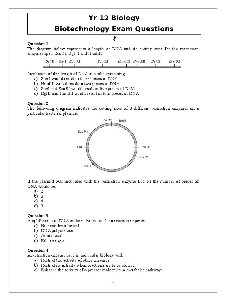 Biotechnology Worksheet Plasmid Dna