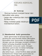 Reproduksi Aseksual Dan Sistem Pencernaan