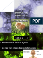 Rabies: A Presentation by Wintercool612