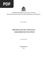 12359 tese intangíveis