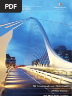 Download Dublin Chamber Annual Report 2009 by DublinChamber SN27770766 doc pdf