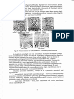 Fiziopatologie Ceamitru 2 PDF