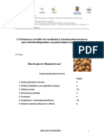 plan_afaceri_20.pdf