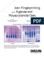 fish-protein-fingerprinting.pdf