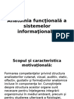 Anatomia Sistemelor Informationale