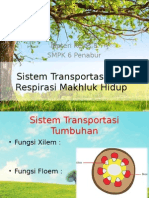 Sistem Transportasi Dan Respirasi Makhluk Hidup