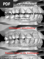 Seminario Modelos de Estudos