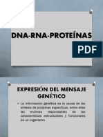 DNA RNA Proteínas