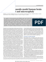 Cerebral Organoids Model Human Brain Development and Microcephaly