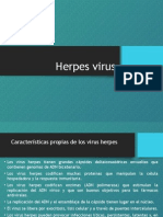 Herpes Virus7