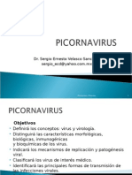 Tema 54 Picornavirus