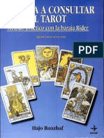 Aprenda A Consultar El Tarot - Tarot Raider PDF