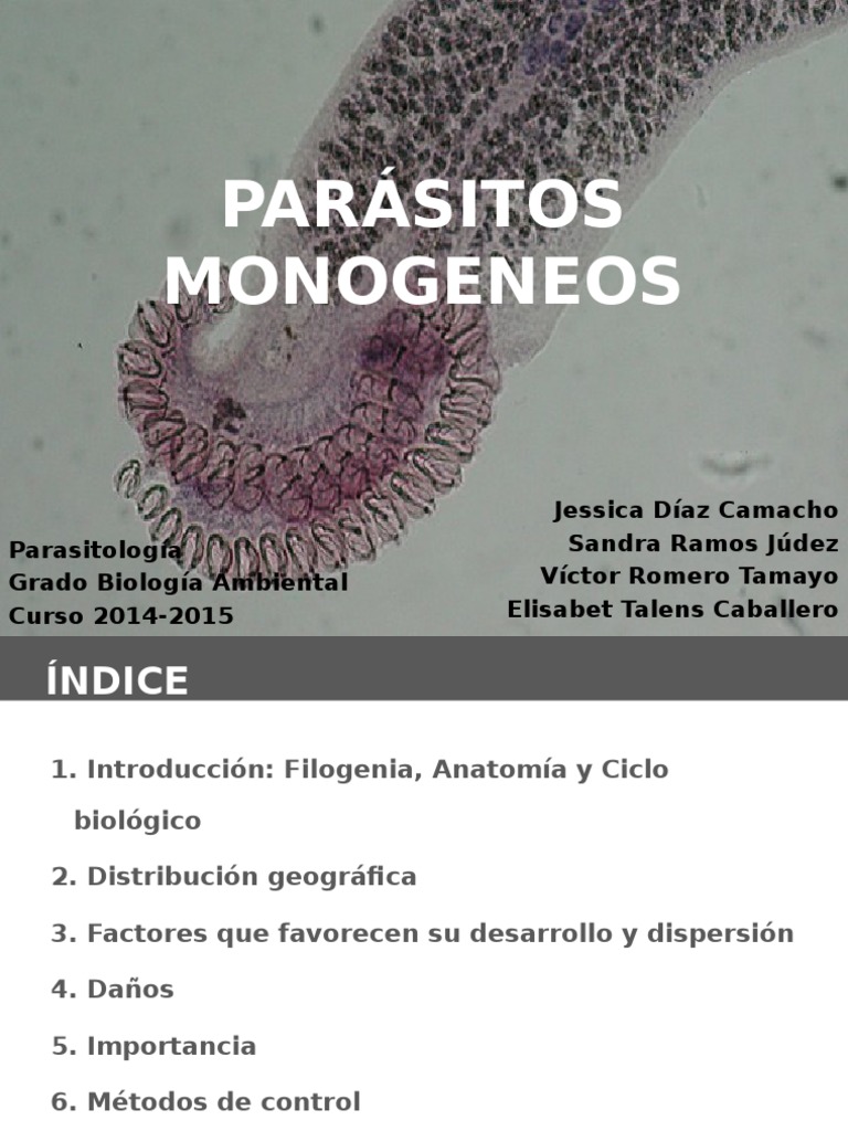 Presentación Monogeneos | PDF | Parasitismo | Insectos beneficiosos