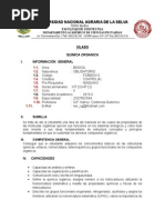 Ejemplo Informe Final de Servicio Social