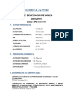 CURRICULUM VITAE 11 de Agosto Del 2015.docxjjjj