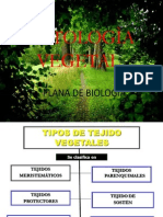 Histologia Vegetal