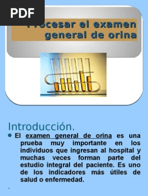 Procesar El Examen General De Orina Ego Orina Medicina Clinica