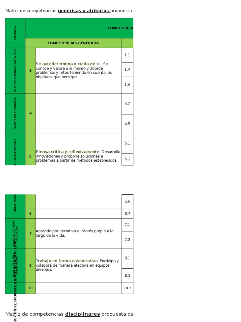 Matriz Competencias Informatica | PDF | Comunicación | Segundo lenguaje