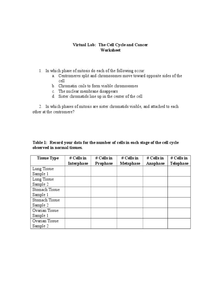 Cell Cycle and Cancer Virtual Lab Worksheet | PDF | Mitosis | Cellular ...
