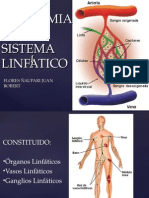 Sistema linfático y ganglios linfáticos principales