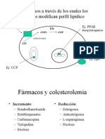 Drogas Que Modifican Metabolismo