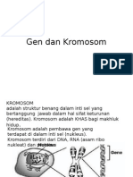 Gen Dan Kromosom