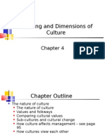 Meaning and Dimensions of Culture