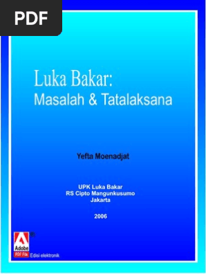 Pengertian Luka Bakar Pdf Tueq Beadvunak Site
