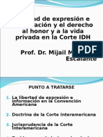 CIDH.libertad.de.Expresión