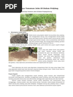 Download Budi Daya Tanaman Jahe Di Dalam Polybag by Rizky Cell SN278051918 doc pdf