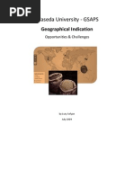 Download GI Opportunities  Challenges by elsofyan SN27808402 doc pdf