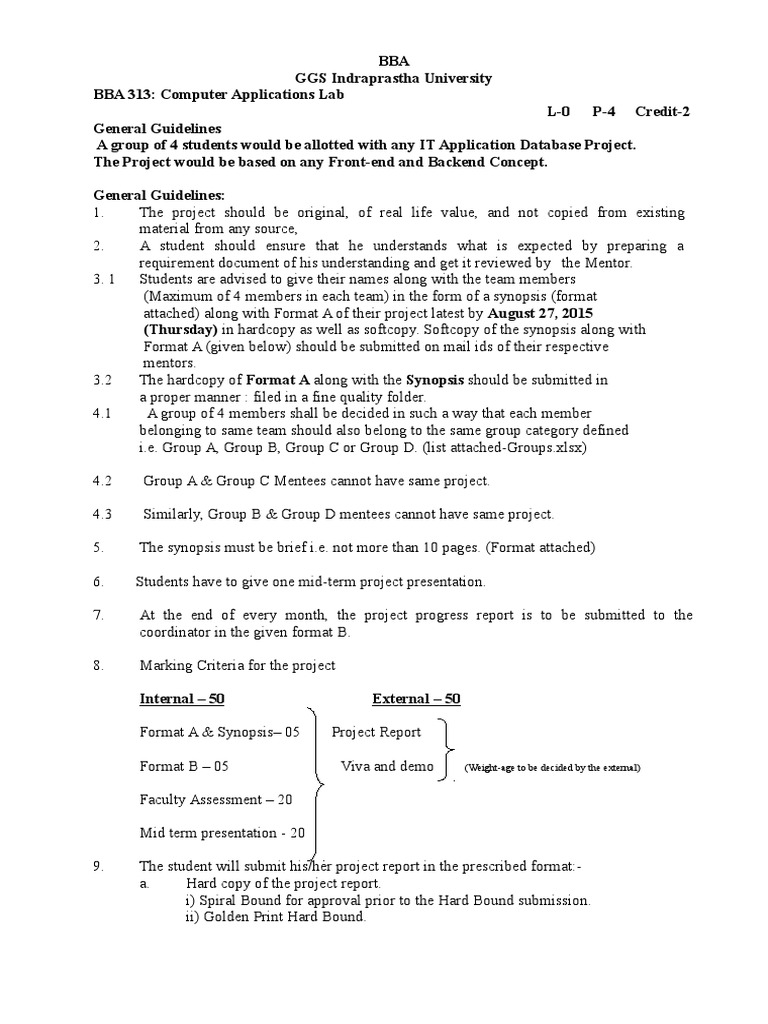 BBA Computer Applications Lab Guidelines | PDF | Computing | Software