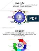 Diversity Inclusion Models