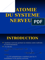 S1 Anatomie Du Systeme Nerveux