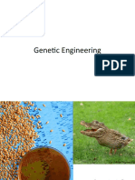 Genetic Engineering - Digital Portfolio SGP