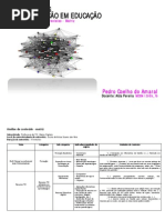 Analise Entrevista Pedro Amaral 1 2