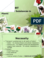 The Transport of Substances in Plants