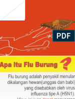 Flu Burung Oke