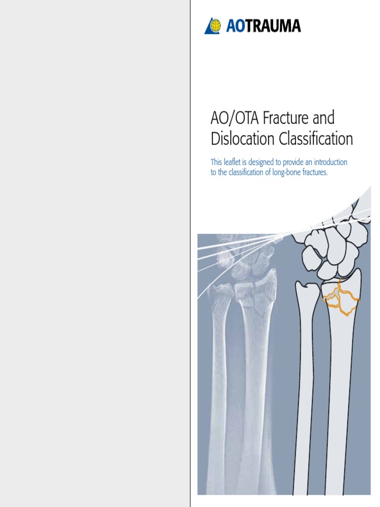 AO OTA Fracture and Dislocation Classification | PDF | Human Anatomy ...