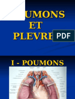 Poumons Et Plèvres