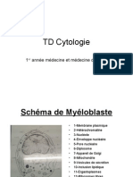 TD Cytologie