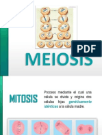 Meiosis