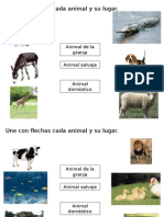 Animales